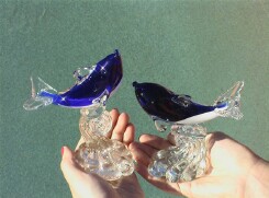 Glass Dolphins